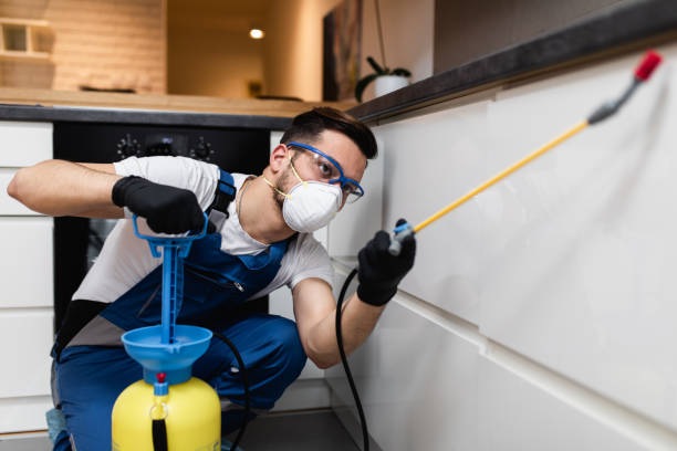 Best Wasp Removal Services  in Shannondale, WV